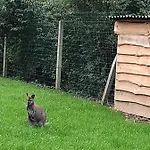 Alpstuga Le Trou Du Charme *