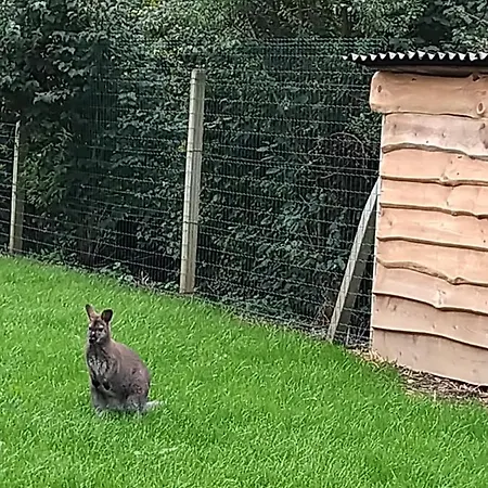 Horská chata Le Trou Du Charme *