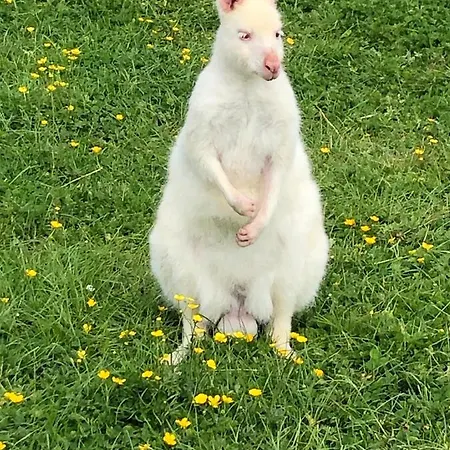 Le Trou Du Charme Horská chata